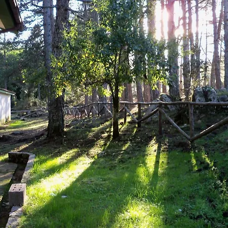 Vallicciola Nature Tempio Pausania