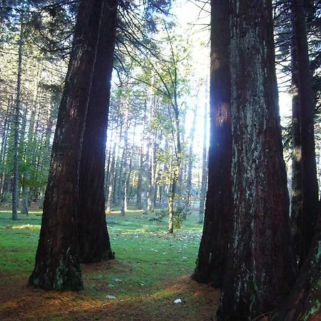 Vallicciola Nature Hotel Tempio Pausania
