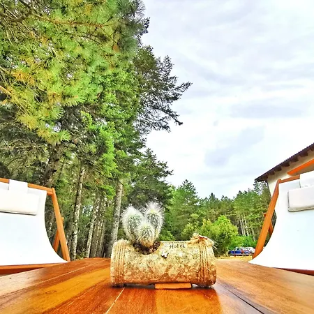 Hotell Vallicciola Nature
