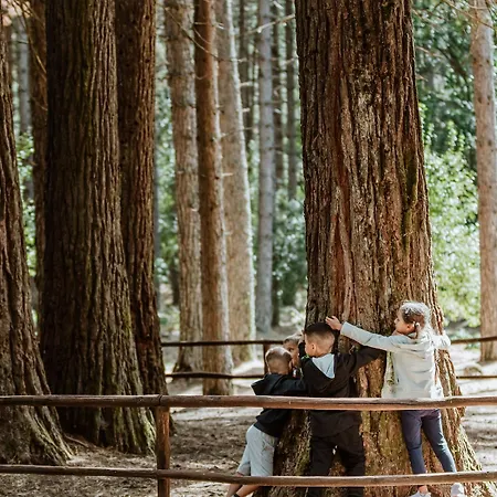 Vallicciola Nature 4* Tempio Pausania