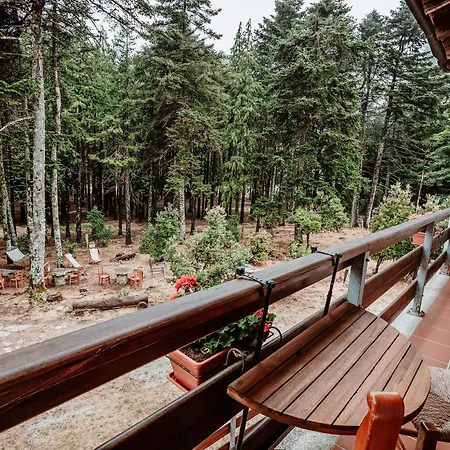 Hotell Vallicciola Nature 4*