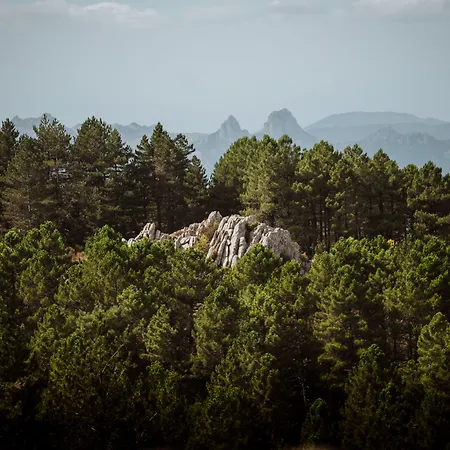 Vallicciola Nature Hotell