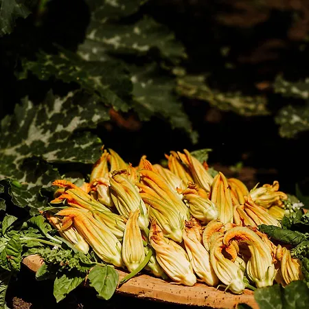 Vallicciola Nature