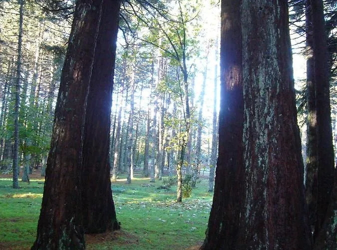 Vallicciola Nature Hotel Tempio Pausania