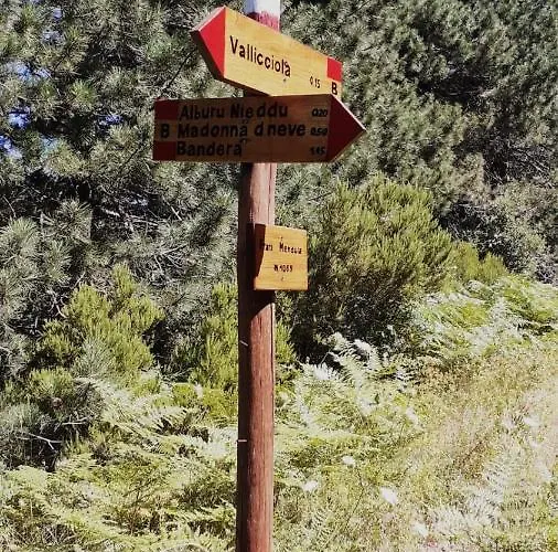 Vallicciola Nature 4*