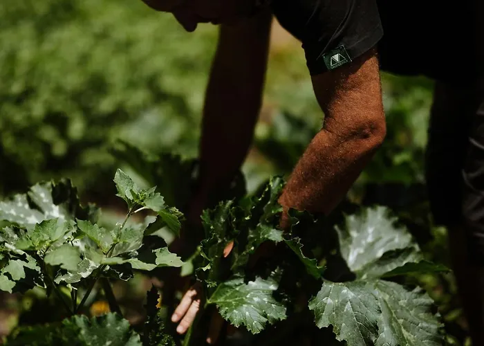 Hotel Vallicciola Nature