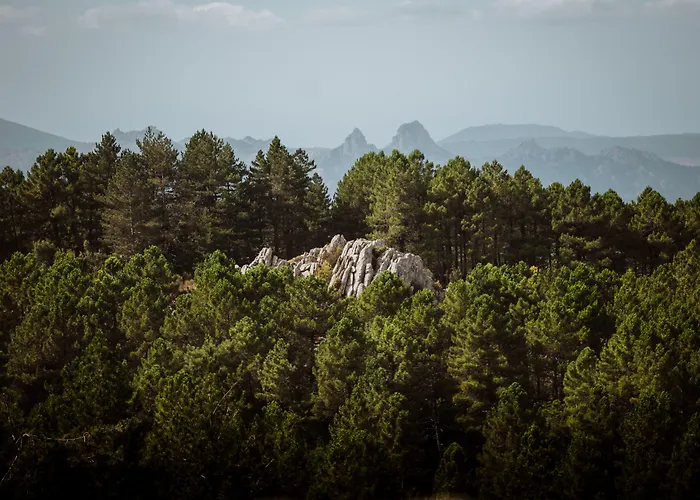 Vallicciola Nature Otel